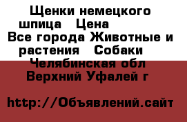 Щенки немецкого шпица › Цена ­ 20 000 - Все города Животные и растения » Собаки   . Челябинская обл.,Верхний Уфалей г.